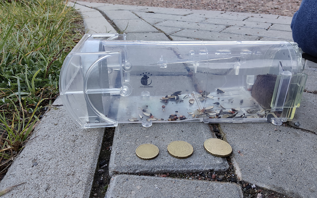 10 Cent für die Freiheit